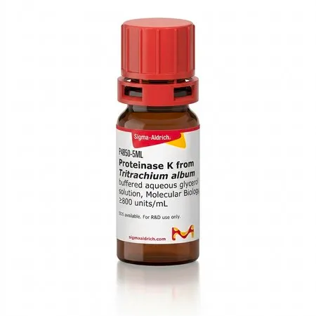 Sigma-Aldrich 蛋白酶 K 来源于林伯氏白色念球菌,甘油缓冲水溶液,分子生物学,≥800单位/mL
