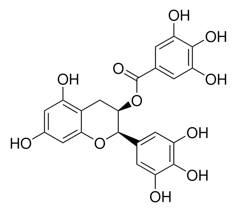 Sigma-Aldrich (-)-表没食子儿茶素没食子酸酯，欧洲药典（EP）参考标准