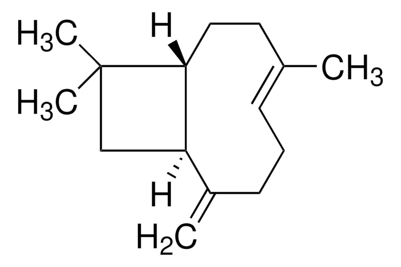Sigma-Aldrich β-石竹烯，天然，≥80%，FG