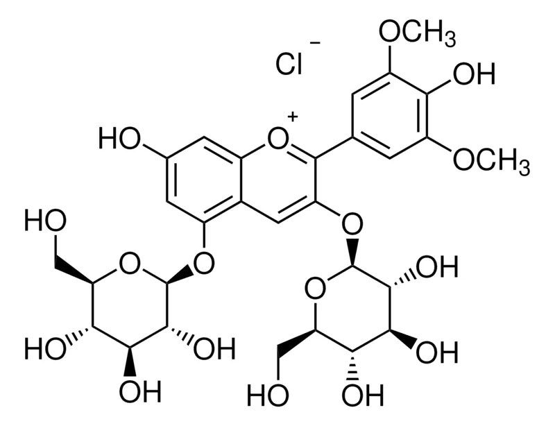 Sigma-Aldrich 氯化锦葵色素苷，phyproof®参考物质