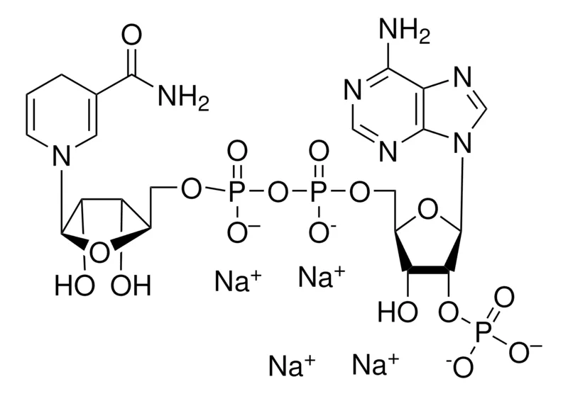 Sigma-Aldrich β-烟酰胺腺嘌呤二核苷酸2′-磷酸，还原型 四钠盐 水合物，安瓿，≥90%（HPLC法）