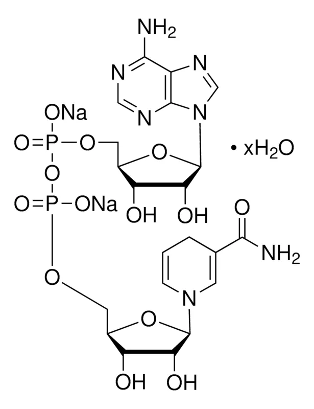 Sigma-Aldrich 还原型 β-烟酰胺腺嘌呤二核苷酸 二钠盐 水合物,约98%,100 mg包装