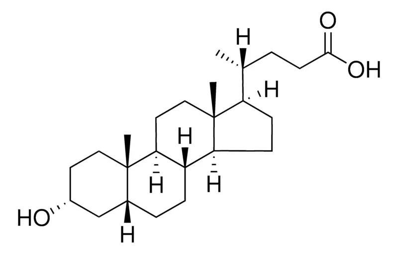 Sigma-Aldrich 石胆酸,欧洲药典(EP)参考标准
