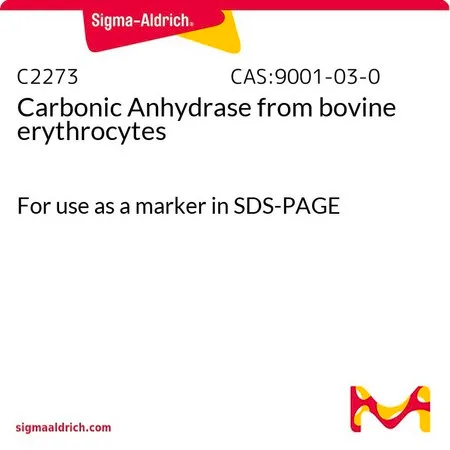 Sigma-Aldrich 碳酸酐酶 来源于牛红细胞，用作SDS-PAGE中的标记