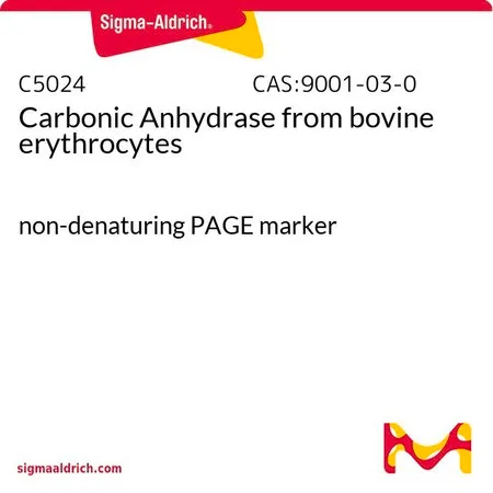 Sigma-Aldrich 碳酸酐酶 来源于牛红细胞,非变性PAGE标记