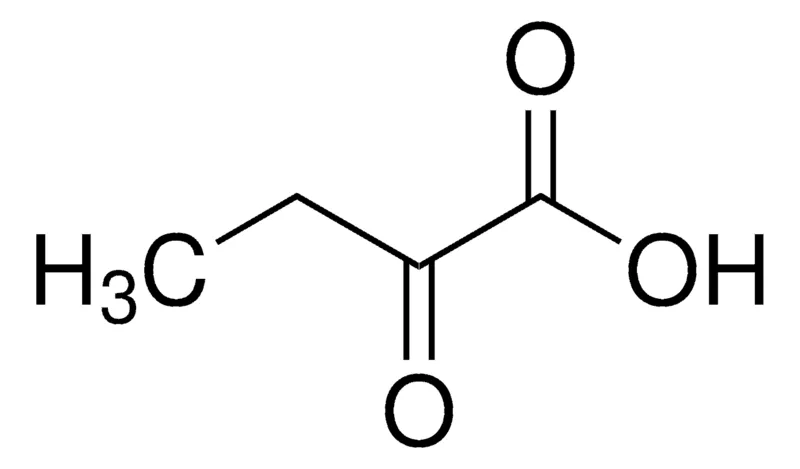 Sigma-Aldrich 2-酮丁酸,百分之九十七