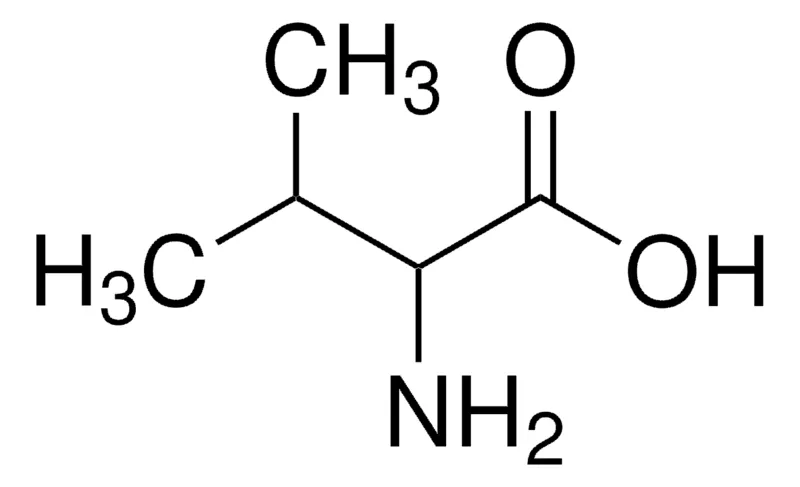 Sigma-Aldrich DL-缬氨酸，试剂盒，≥99.0%（NT）