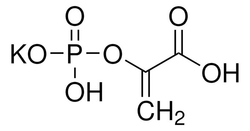 Sigma-Aldrich 磷烯醇丙酮酸 单钾盐，百分之九十九