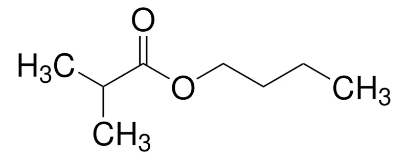 Sigma-Aldrich 异丁酸丁酯,天然,97%,FG