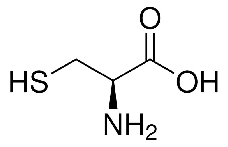 Sigma-Aldrich L-半胱氨酸，97%，用于肽合成