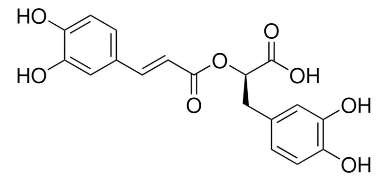 Sigma-Aldrich 迷迭香酸，百分之九十六