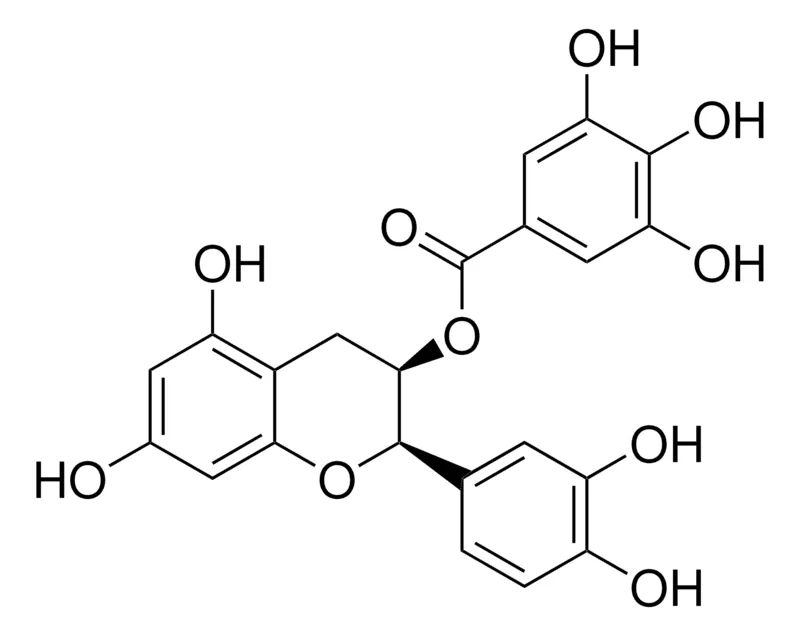 Sigma-Aldrich (−)-表儿茶素没食子酸酯，一级参考标准物质