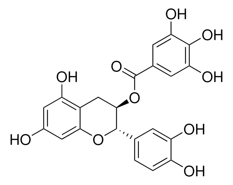 Sigma-Aldrich (−)-儿茶素没食子酯酸，phyproof®参考物质