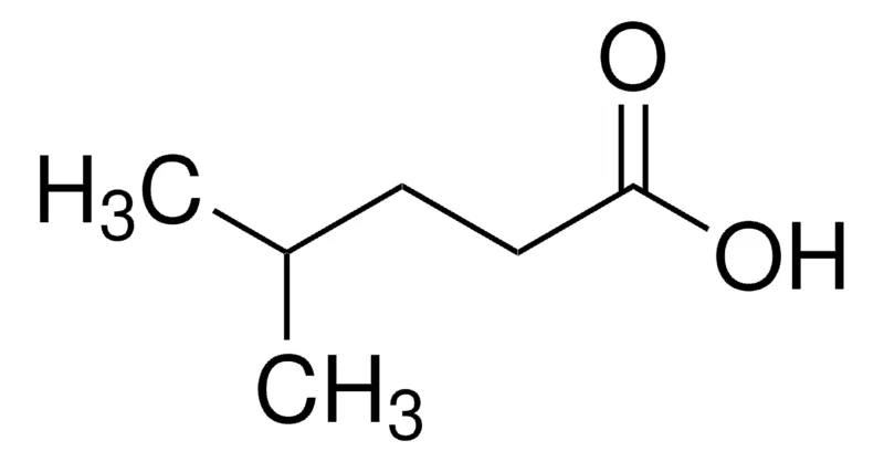 Sigma-Aldrich 4-甲基戊酸,百分之九十九