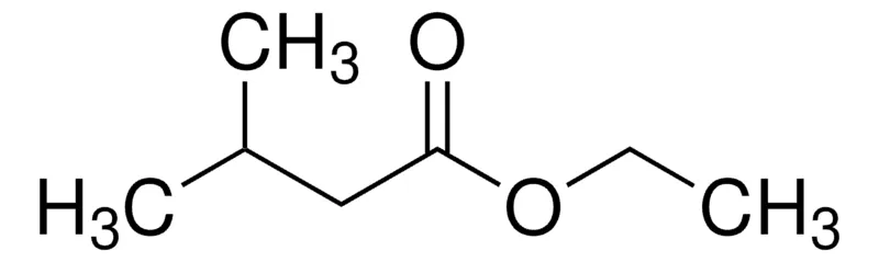 Sigma-Aldrich 异戊酸乙酯，天然，≥98%，FCC，FG