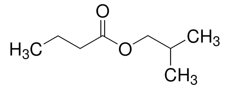 Sigma-Aldrich 丁酸异丁酯，天然，≥98%，FCC，FG