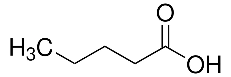 Sigma-Aldrich 缬草酸，≥99%