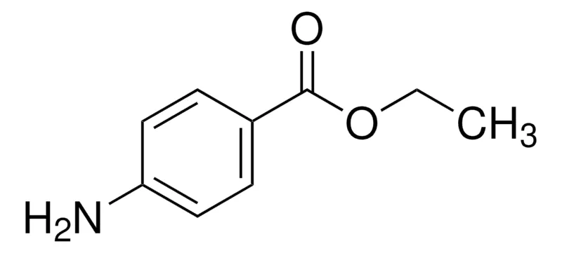 Sigma-Aldrich 苯佐卡因,欧洲药典(EP)参考标准