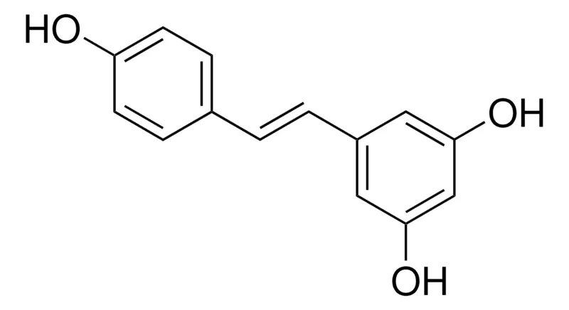 Sigma-Aldrich 白藜芦醇，欧洲药典（EP）参考标准