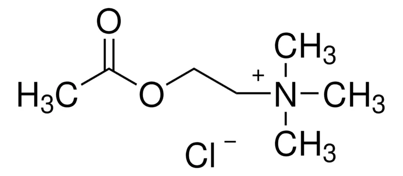 Sigma-Aldrich 氯化乙酰胆碱,≥99%(TLC),粉末或晶体