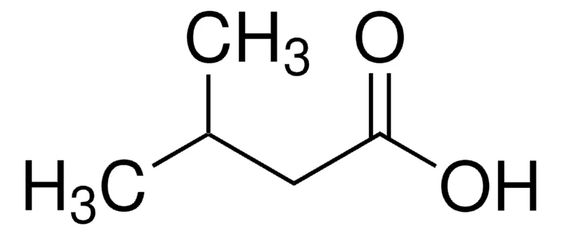 Sigma-Aldrich 异戊酸,百分之九十九