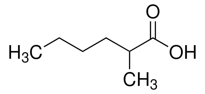 Sigma-Aldrich 2-甲基己酸，百分之九十九