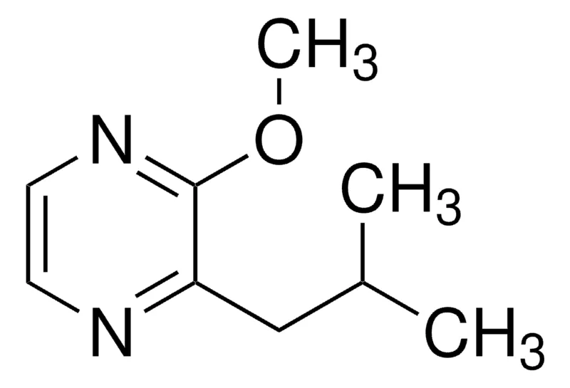 Sigma-Aldrich 2-异丁基-3-甲氧基吡嗪，百分之九十九