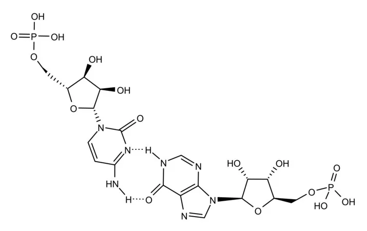 Sigma-Aldrich 聚肌苷酸-聚胞苷酸 钾盐,含缓冲盐的10% Poly(I:C),检测TLR配体