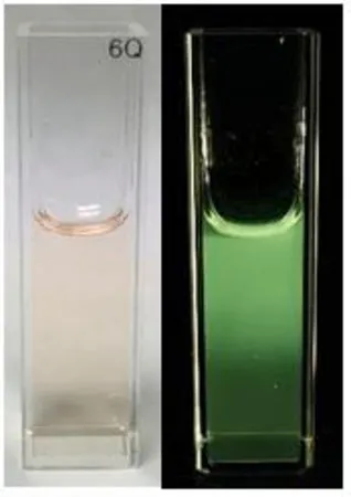 Sigma-Aldrich 石墨烯量子点,水绿色发光,1 mg/mL水溶液