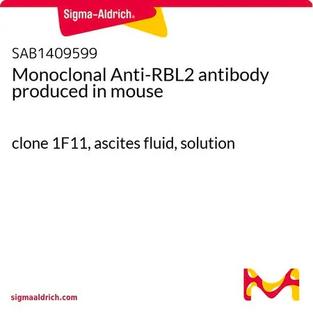 Sigma-Aldrich Polyethylene Terephthalate，（聚酯、PET、PETP），薄膜，厚度0.075 mm，长度10 m，卷宽914 mm
