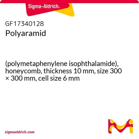 Sigma-Aldrich Polyaramid，（聚间苯二甲酰胺），蜂窝状，厚度10 mm，尺寸300 × 300 mm，单元尺寸6 mm