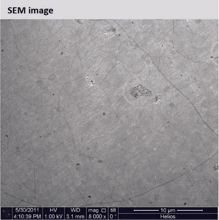 Sigma-Aldrich 单层石墨烯薄膜,铜箔上1 cm x 1 cm,带PMMA涂层,平均层数,1
