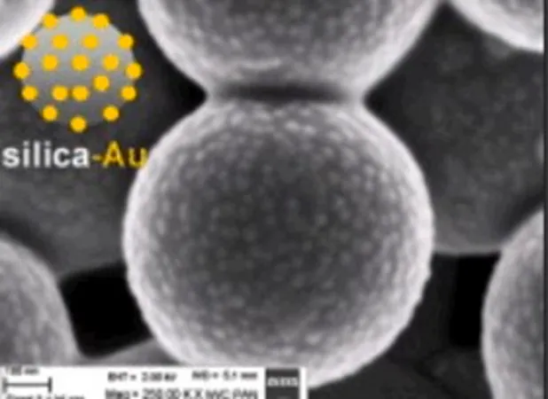 Sigma-Aldrich Gold coated silica nanoparticles，1重量%水溶液，400 nm（无孔二氧化硅），20 nm（金纳米颗粒）
