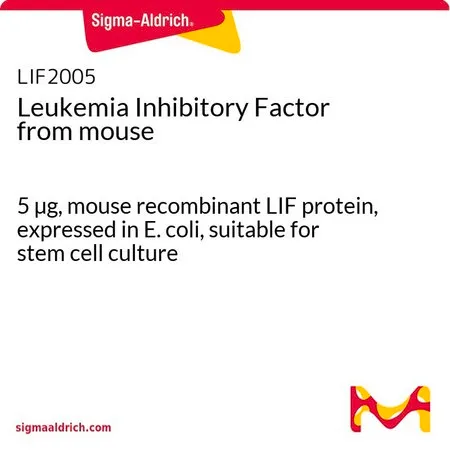Sigma-Aldrich 小鼠白血病抑制因子,5 µg,小鼠重组LIF蛋白,在大肠杆菌中表达,适用于干细胞培养