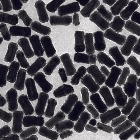Sigma-Aldrich 金纳米棒，钯涂层，25 nm直径，100 μg/mL水溶液，分散体