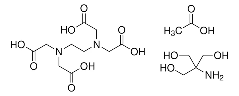 Sigma-Aldrich TRIS醋酸盐-EDTA缓冲液，生物试剂，适用于电泳