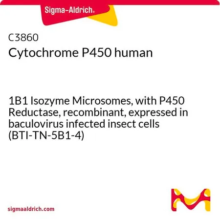 Sigma-Aldrich 细胞色素P450 人,1B 1同工酶微粒体,含P450还原酶,重组,在杆状病毒感染的昆虫细胞中表达(BTI-TN-5 B1 -4)