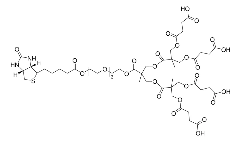 Sigma-Aldrich Polyester bis-MPA dendron,第2代,编号。表面组4