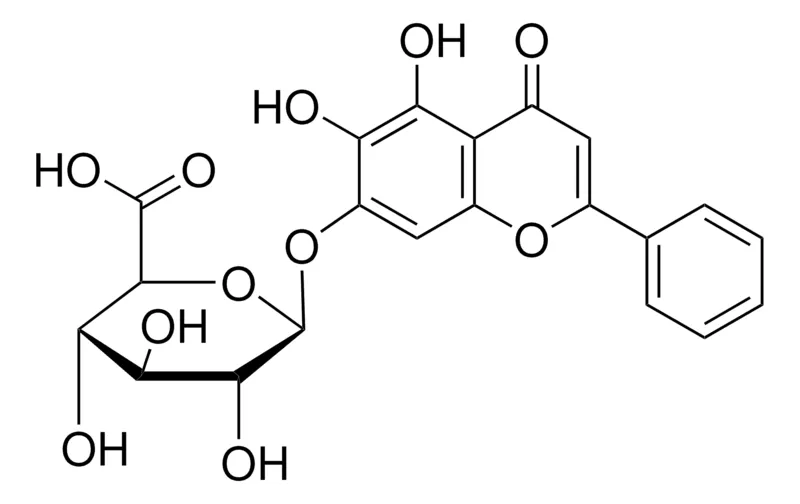 Sigma-Aldrich 黄芩苷,欧洲药典(EP)参考标准