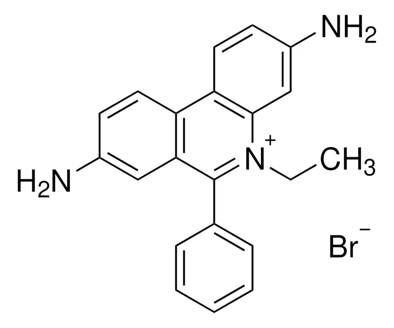 Sigma-Aldrich 溴化乙啶 溶液，生物试剂，分子生物学，500 μg/mL水溶液