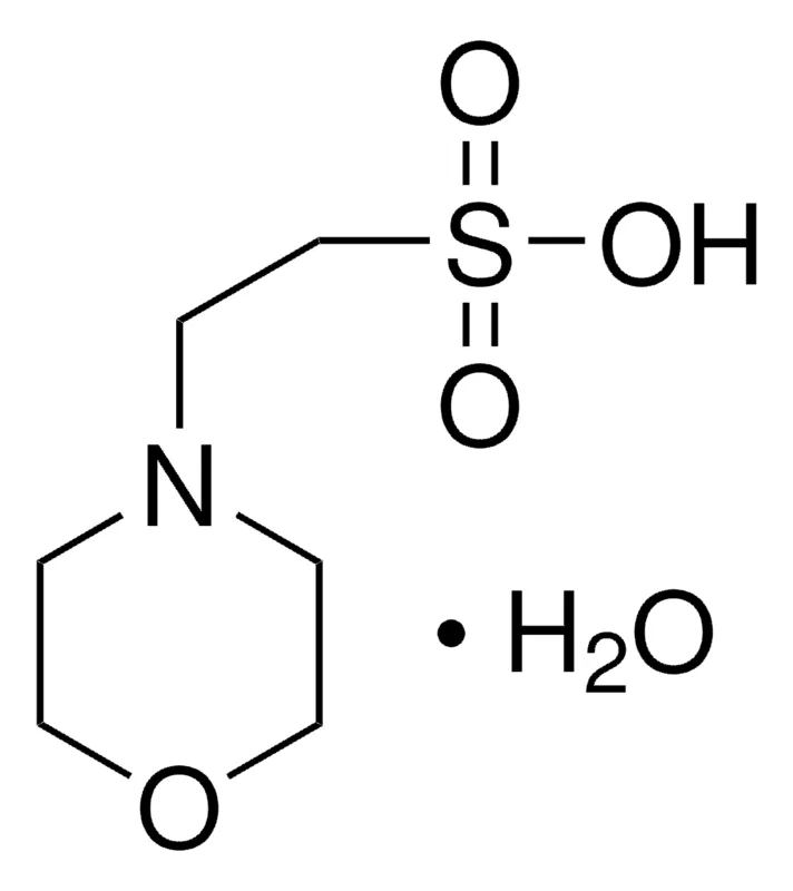 Sigma-Aldrich MES 一水合物，BioXtra，≥99.0%（T）