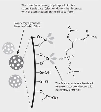 默克Supelco HybridSPE ®-磷脂SPE小柱