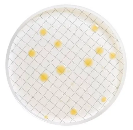 默克密理博 Milliflex®预填充培养基板，平板计数琼脂，用于需氧菌，48个测试包，适用于生物负载测试