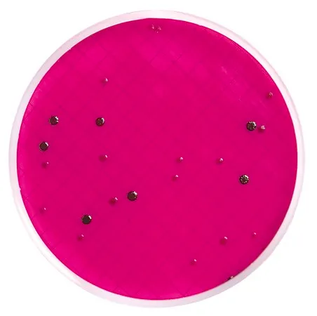 默克密理博 Milliflex®预填充培养基板，m-Endo LES琼脂，用于大肠菌群，48次测试包，适用于生物负载测试