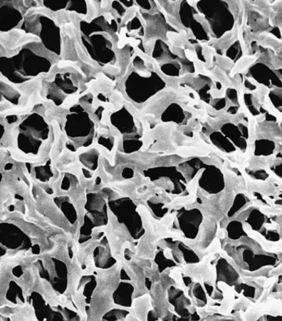 默克密理博 Durapore® 膜过滤装置, 0.45 µm，Durapore®，过滤器直径47 mm，疏水