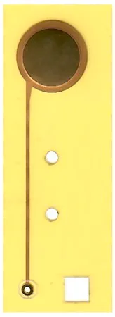 Sigma-Aldrich Electrode，薄膜柔性PET，圆形1cm 2