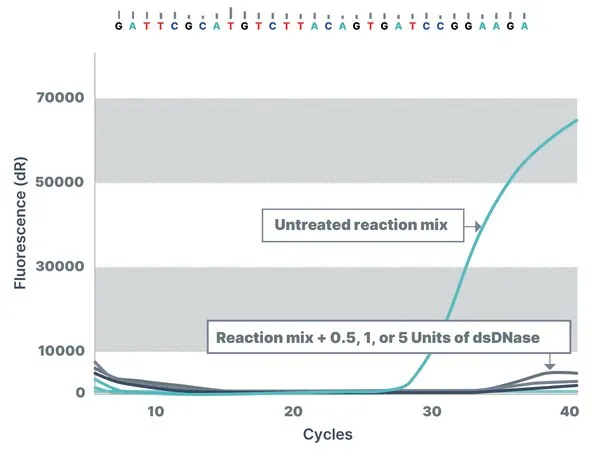Sigma-Aldrich dsDNase,重组,在毕赤酵母中表达,不耐热,不含Triton