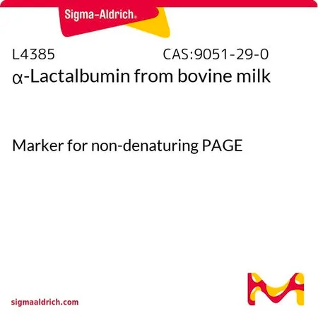 Sigma-Aldrich α-乳清蛋白 来源于牛奶,非变性PAGE标记物