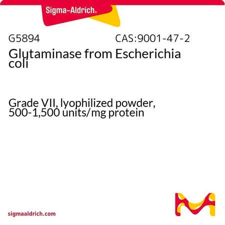 Sigma-Aldrich 谷氨酰胺酶 来源于大肠杆菌,VII级,冻干粉,500- 1,500单位/mg蛋白质