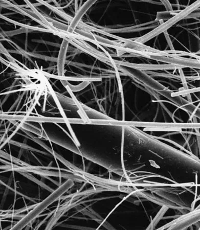 默克密理博 粘合剂树脂玻璃纤维膜滤器，1.0 μm孔径，Millipore，过滤器直径42 mm，亲水
